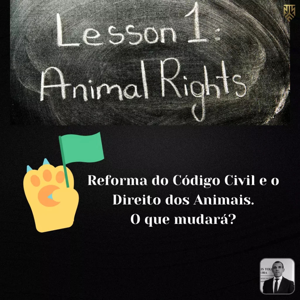 REFORMA DO CÓDIGO CIVIL E O DIREITO DOS ANIMAIS