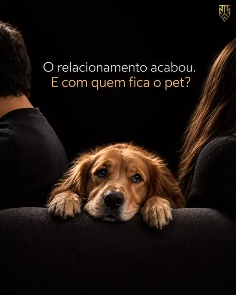 O RELACIONAMENTO ACABOU? E COM QUEM FICA O PET?